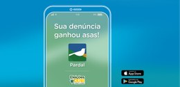 Pardal