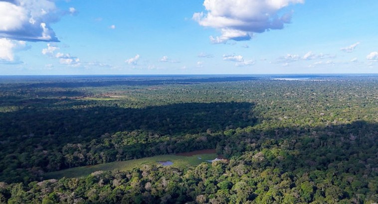 TRE-AL: JUIZO VERDE Prêmio Juízo Verde 2025: CNJ reconhecerá boas práticas e desempenho dos tribunais