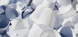 TRE-MS suspende o fornecimento de copos plásticos descartáveis para servidores 