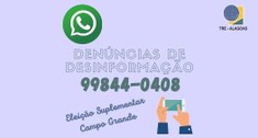 Numero Denuncias Campo Grande